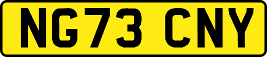 NG73CNY