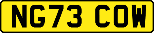 NG73COW