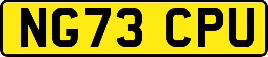 NG73CPU