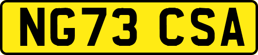 NG73CSA