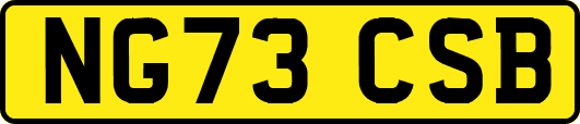 NG73CSB