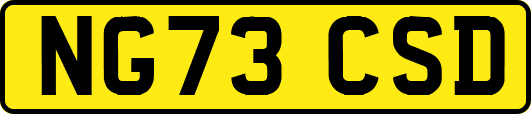 NG73CSD