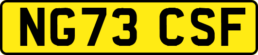 NG73CSF