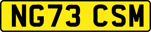NG73CSM