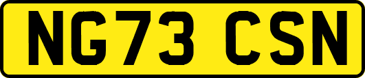 NG73CSN