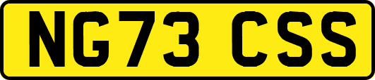 NG73CSS