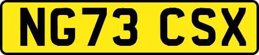 NG73CSX