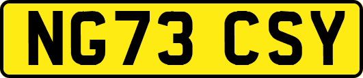 NG73CSY