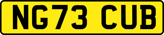 NG73CUB