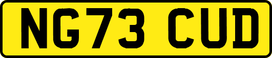 NG73CUD