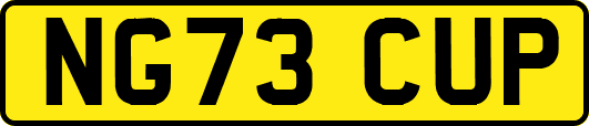 NG73CUP