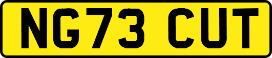 NG73CUT