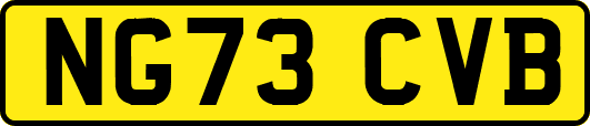 NG73CVB