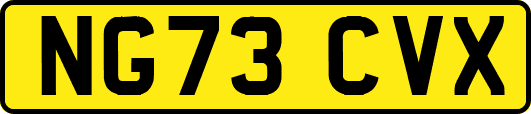 NG73CVX