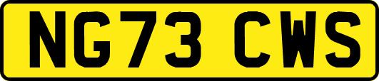 NG73CWS