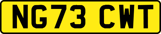NG73CWT