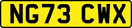 NG73CWX