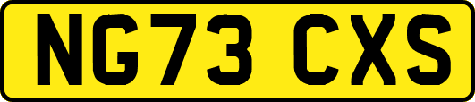 NG73CXS