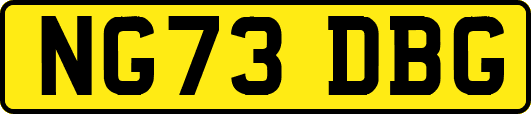NG73DBG