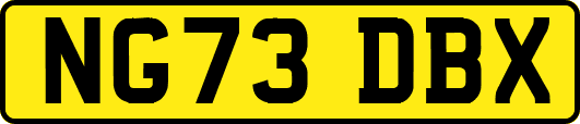 NG73DBX