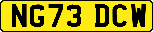 NG73DCW