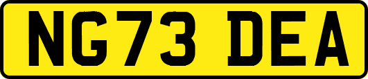 NG73DEA