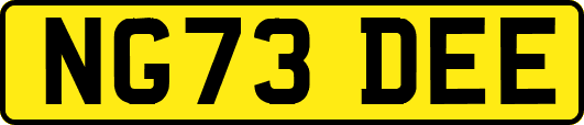 NG73DEE