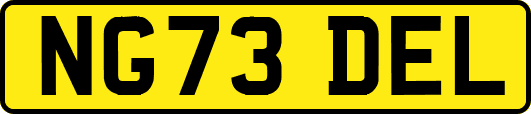 NG73DEL