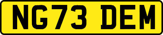 NG73DEM