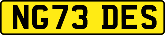NG73DES