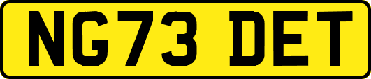 NG73DET