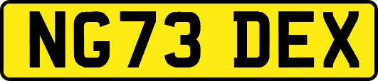 NG73DEX