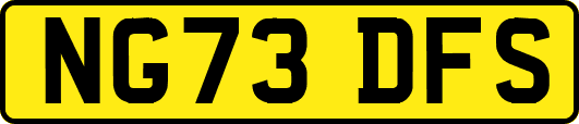 NG73DFS