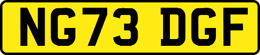 NG73DGF
