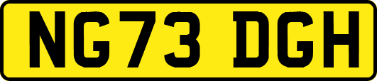 NG73DGH