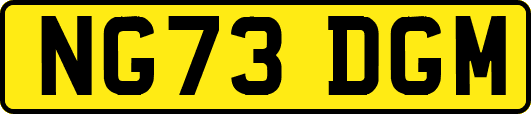 NG73DGM