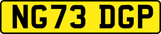 NG73DGP