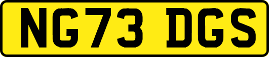 NG73DGS