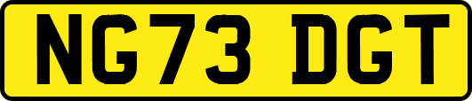NG73DGT