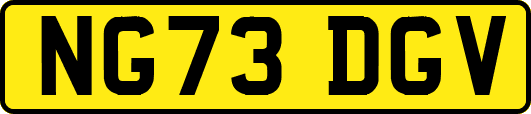 NG73DGV