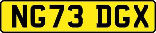 NG73DGX