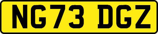 NG73DGZ