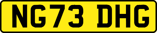 NG73DHG