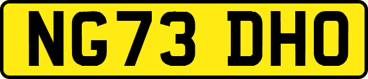 NG73DHO