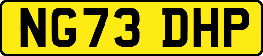 NG73DHP