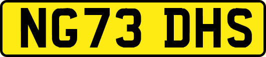 NG73DHS