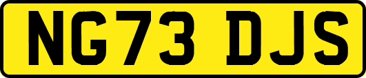 NG73DJS