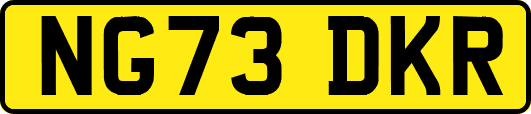 NG73DKR