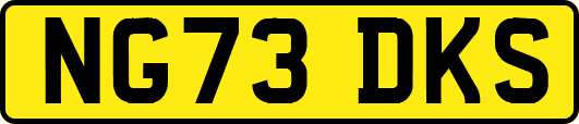 NG73DKS