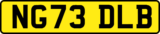 NG73DLB